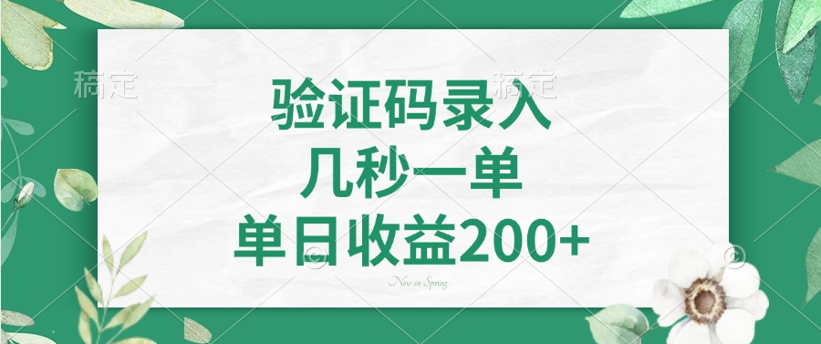 （14221期）验证码录入，几秒一单，单日收益200+-忧忧资源网