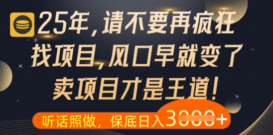 什么？25年你还在疯狂找项目做，醒醒吧，看完这些你全都懂了【揭秘】-忧忧资源网