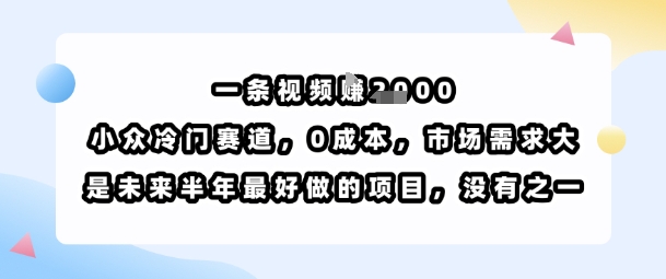 一条视频挣1k，小众冷门赛道，0成本，市场需求大，是未来半年最好做的项目，没有之一-幽忧帮
