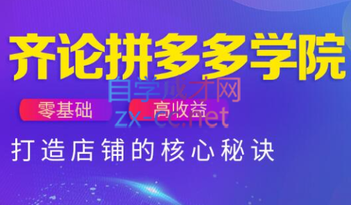 齐论拼多多vip课程-忧忧资源网