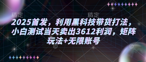 2025首发，利用黑科技带货打法，小白测试当天卖出3612利润，矩阵玩法+无限账号【揭秘】-忧忧资源网