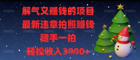 解气又挣钱的项目，最新违章拍照挣钱，随手一拍，轻松收入多张【揭秘】-忧忧资源网