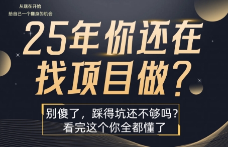 25年，你还在疯狂的找项目吗？别傻了，看完这个你都懂了【揭秘】-幽忧帮