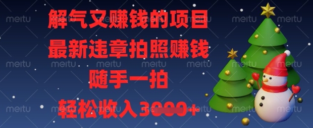 解气又挣钱的项目，最新违章拍照挣钱，随手一拍，轻松收入数张【揭秘】-忧忧资源网