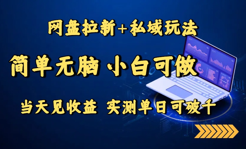 网盘拉新+私域玩法，简单无脑，小白可做，当天见收益，实测单日可破千-幽忧帮