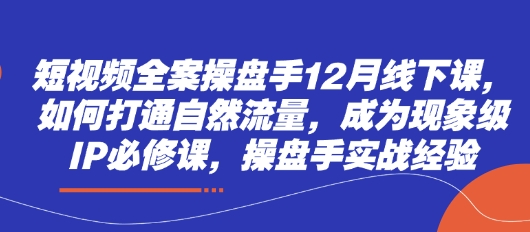 短视频全案操盘手12月线下课，如何打通自然流量，成为现象级IP必修课，操盘手实战经验-忧忧资源网