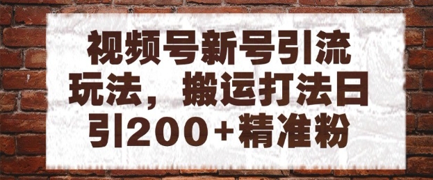 视频号新号引流玩法，搬运打法日引200+精准粉，可矩阵放大【揭秘】-忧忧资源网