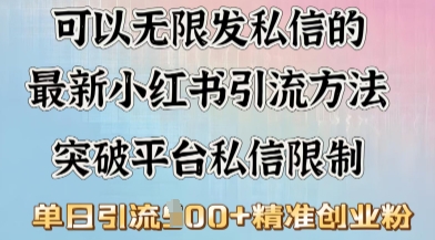 最新“摆烂式”引流打法，小红书私信引流，单天引流100+-忧忧资源网