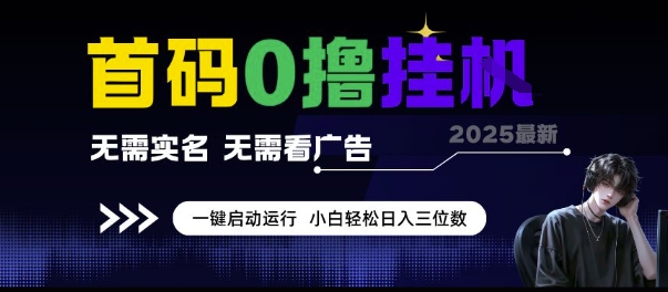 首码0撸挂G项目，无需实名无需看广告 一键启动运行，小白轻松日入三位数【揭秘】-幽忧帮