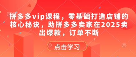 拼多多vip课程，零基础打造店铺的核心秘诀，助拼多多卖家在2025卖出爆款，订单不断-幽忧帮