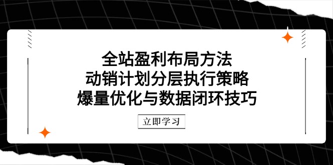 全站盈利布局方法：动销计划分层执行策略，爆量优化与数据闭环技巧-忧忧资源网