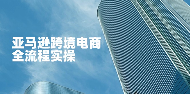 亚马逊跨境电商全流程实操，教你从零开始，掌握店铺运营与广告技巧-幽忧帮