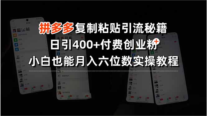 拼多多复制粘贴引流秘籍，日引400+付费创业粉，小白也能月入六位数实操…-幽忧帮