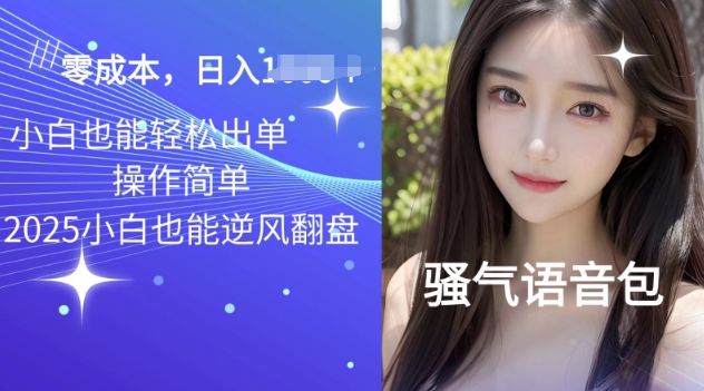 2025骚气导航语音包项目，零基础小白单日变现多张-忧忧资源网