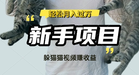 利用老外躲猫猫大赛视频，挣分成收益，操作简单，新手小白，轻松月入过W-忧忧资源网