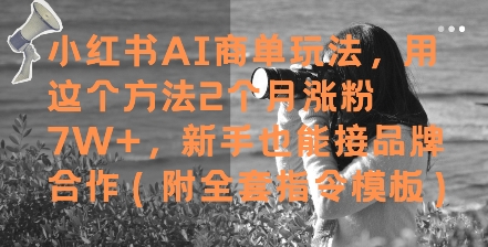 小红书AI商单玩法，用这个方法2个月涨粉7W+，新手也能接品牌合作(附全套指令模板)-忧忧资源网