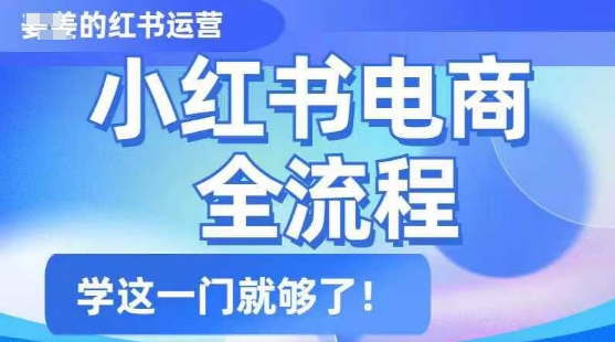 小红书电商全流程，精简易懂，从入门到精通，学这一门就够了-忧忧资源网