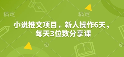 小说推文项目，新人操作6天，每天3位数分享课-忧忧资源网