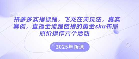 拼多多实操课程，飞龙在天玩法，真实案例，直播全流程链接的黄金sku布局原价操作六个活动-忧忧资源网
