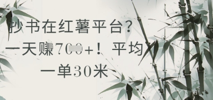 抄书在小红薯平台？平均一单30米，一天收益几张！-忧忧资源网