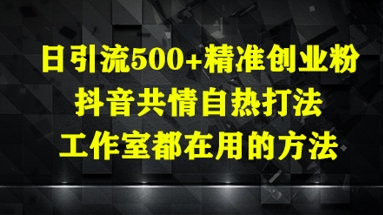 日引流500+精准创业粉，抖音共情自热打法，工作室都在用的方法-忧忧资源网