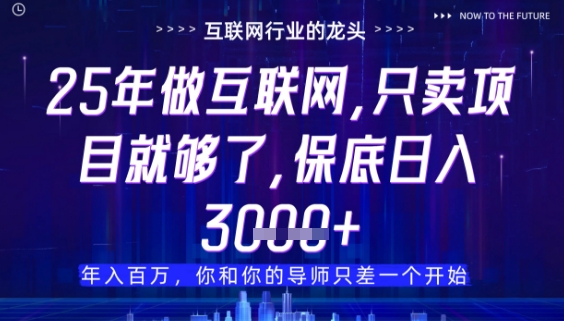 什么！25年你还在找项目做？风口早就变了，卖项目才是稳挣不赔【揭秘】-忧忧资源网
