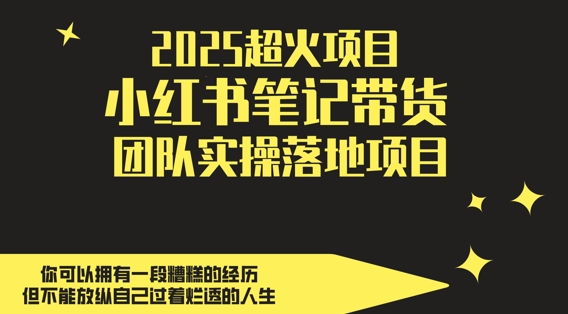 2025超火项目，副业最佳选择，小红书笔记带货团队实操落地项目，，轻松日入5张-幽忧帮