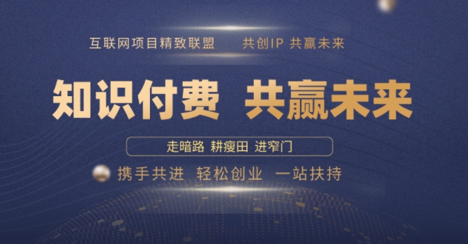 别人苦寻无果，为何他们靠知识付费卖项目 2025 年轻松年入100个?【揭秘】-忧忧资源网