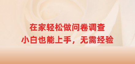 在家轻松做问卷调查，小白也能上手，无需经验-忧忧资源网