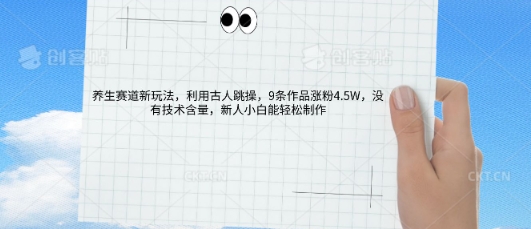 AI养生赛道新玩法，10条作品涨粉5.2W，操作简单，新人小白能轻松制作-忧忧资源网
