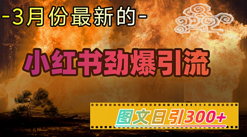 小红书超劲爆引流手段，图文日引300+轻松变现1W-忧忧资源网