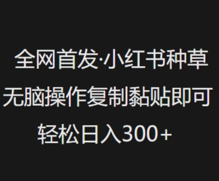 全网首发，小红书种草无脑操作，复制黏贴即可，轻松日入3张-忧忧资源网