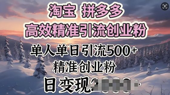 淘宝拼多多高效精准引流创业粉，单人单日引流500+创业粉，日变现多张-忧忧资源网