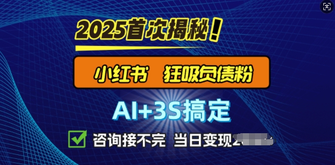 2025引流天花板：最新小红书狂暴负债粉思路，咨询接不断，当日入多张-忧忧资源网