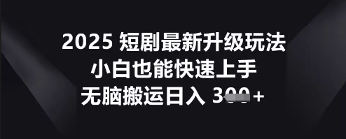 2025短剧最新升级玩法，小白也能快速上手，无脑搬运日入3张-忧忧资源网