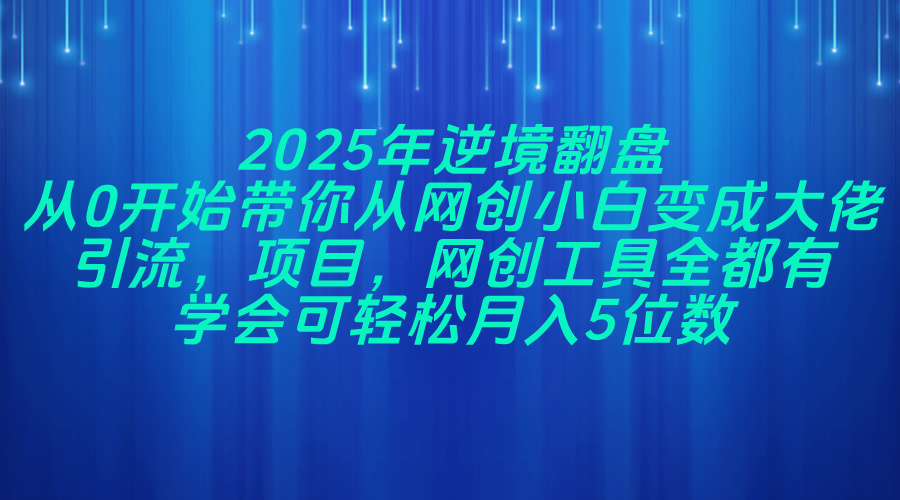2025年逆境翻盘，从0开始带你从网创小白变成大佬，引流，项目，网创工…-忧忧资源网