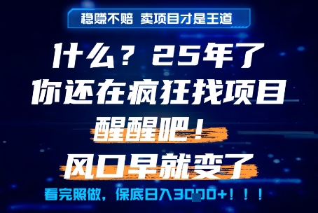 什么？25年你还在疯狂找项目做，醒醒吧，看完这些你全都懂了！【揭秘】-幽忧帮