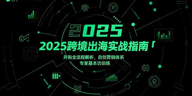 2025跨境出海实战指南，并购全流程解析，自创营销体系，专家基本功训练-幽忧帮