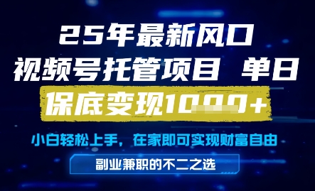 25年最新风口，视频号托管项目，单日保底变现1k+，手把手教学【揭秘】-幽忧帮