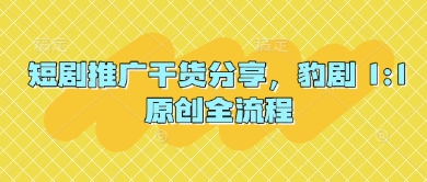 短剧推广干货分享，豹剧 1:1原创全流程-忧忧资源网