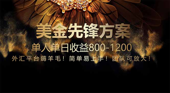免费技术！小众赛道！一年布局抵三年努力，每日800+-忧忧资源网