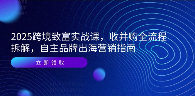 2025跨境致富实战课，收并购全流程拆解，自主品牌出海营销指南-幽忧帮