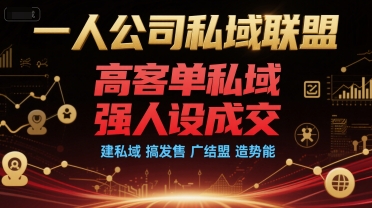 一人公司私域联盟，高客单私域，强人设成交，建私域 搞发售 广结盟 造势能-幽忧帮