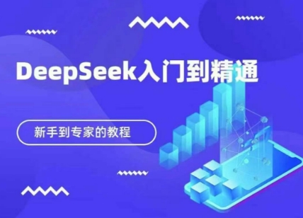 DeepSeek快速从入门到精通，新手的保姆级教程-忧忧资源网