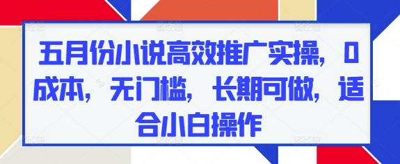 五月份小说高效推广实操，0成本，无门槛，长期可做，适合小白操作-忧忧资源网