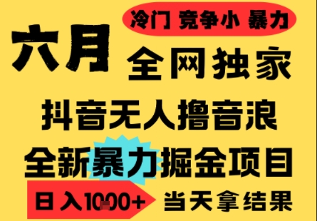 25年6月高爆抖音无人直播最新撸音浪掘金项目，小白可做，无脑日入1k+，门槛低可批量矩阵【揭秘】-幽忧帮