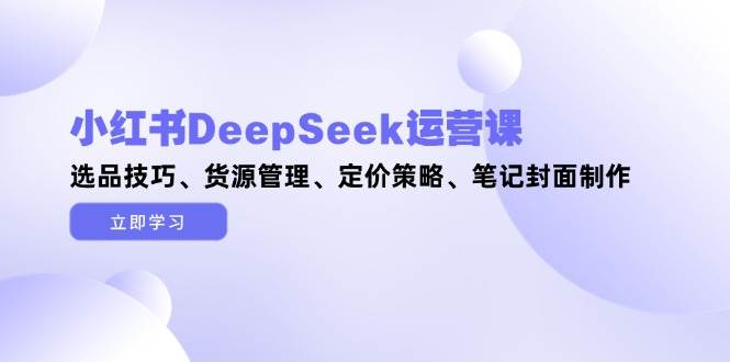 小红书DeepSeek运营课，选品技巧、货源管理、定价策略、笔记封面制作-忧忧资源网