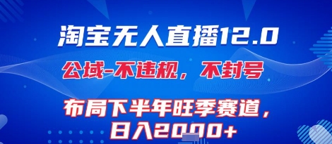 淘宝无人直播12.0，不封号，不违规，布局下半年旺季赛道，日入1k+(独家技术)【揭秘】-幽忧帮