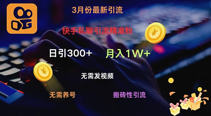 快手私聊引流精准粉，当天见效无需发视频搬砖引流法日引300+-忧忧资源网
