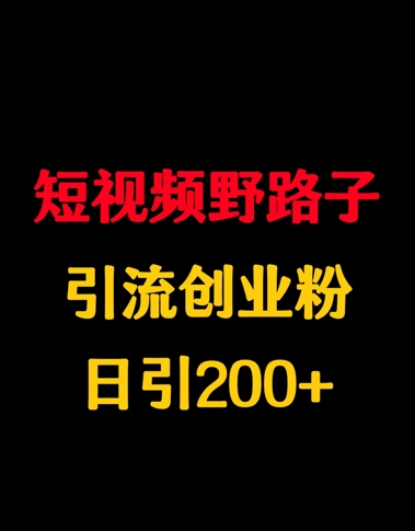 短视频野路子引流创业粉，日引200+-幽忧帮